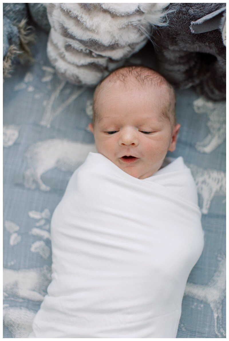 Knoxville newborn photography 