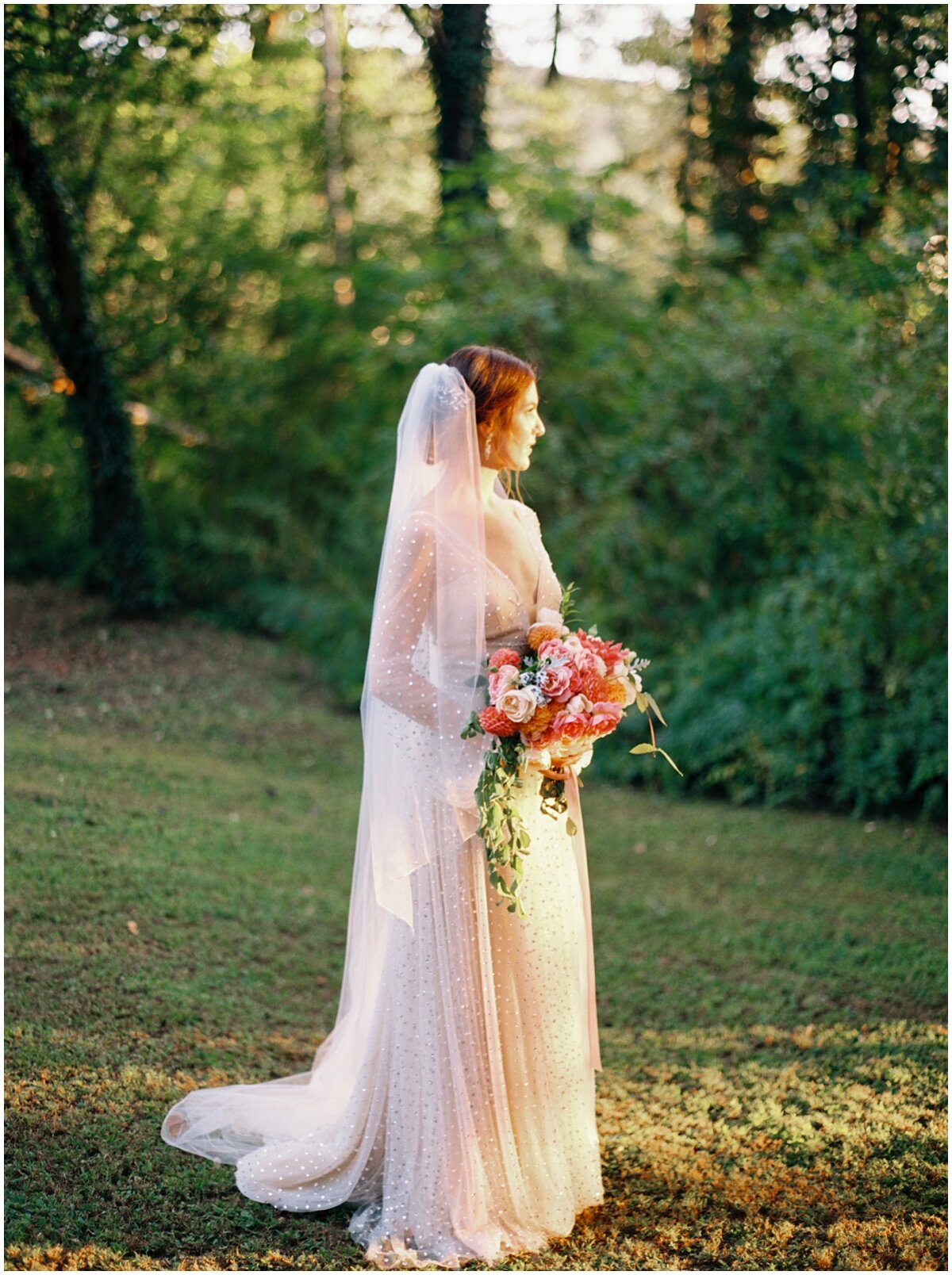 bridal portraits outdoor wedding knoxville tn